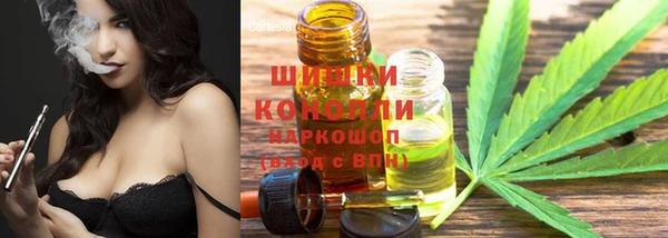 прущие грибы Абинск