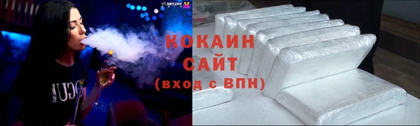 прущие грибы Абинск