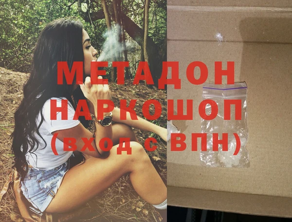 прущие грибы Абинск