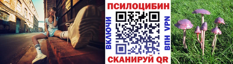 Псилоцибиновые грибы ЛСД  сколько стоит  Нерчинск 